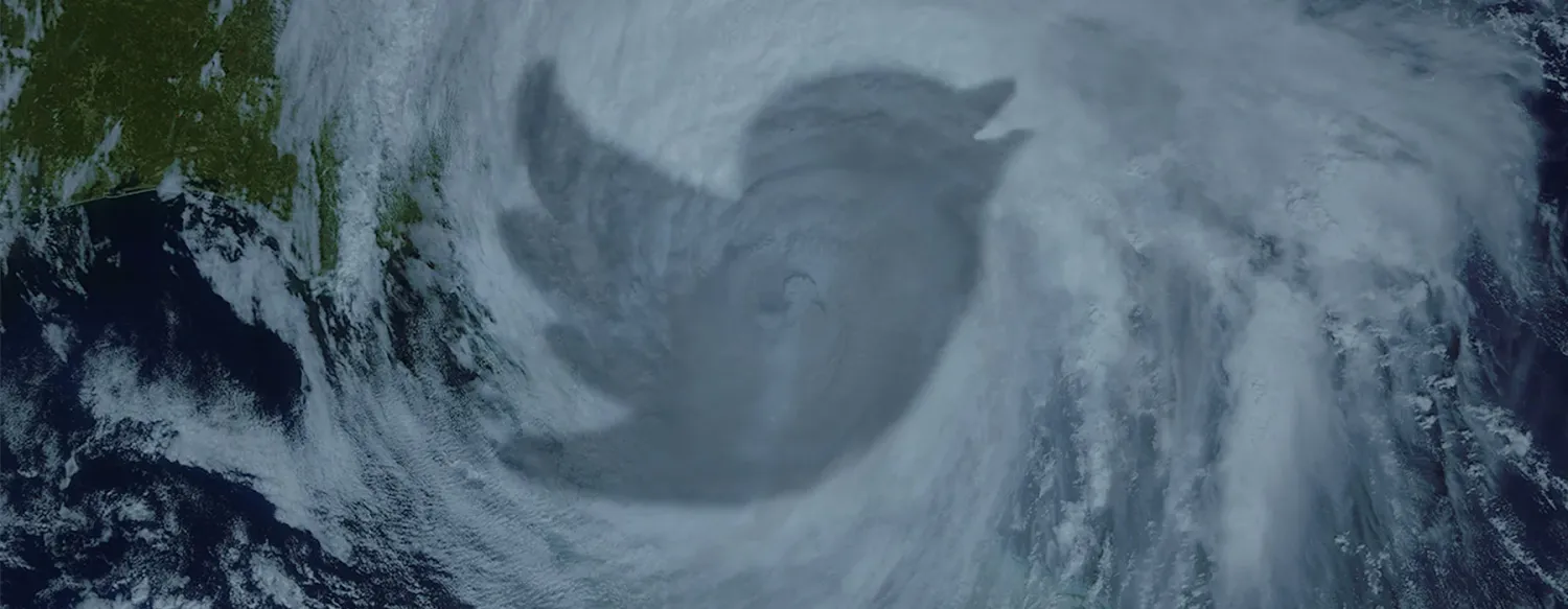 Twitter bird overlay on hurricane
