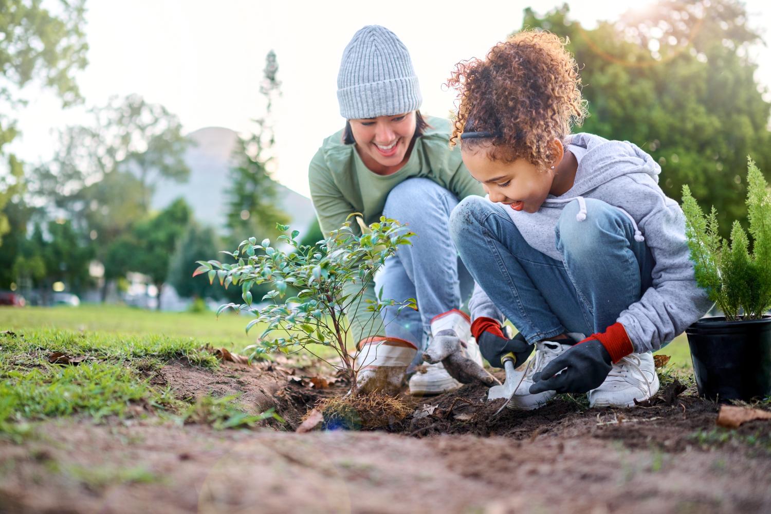Woman and a child kneel in the dirt and dig around a plant