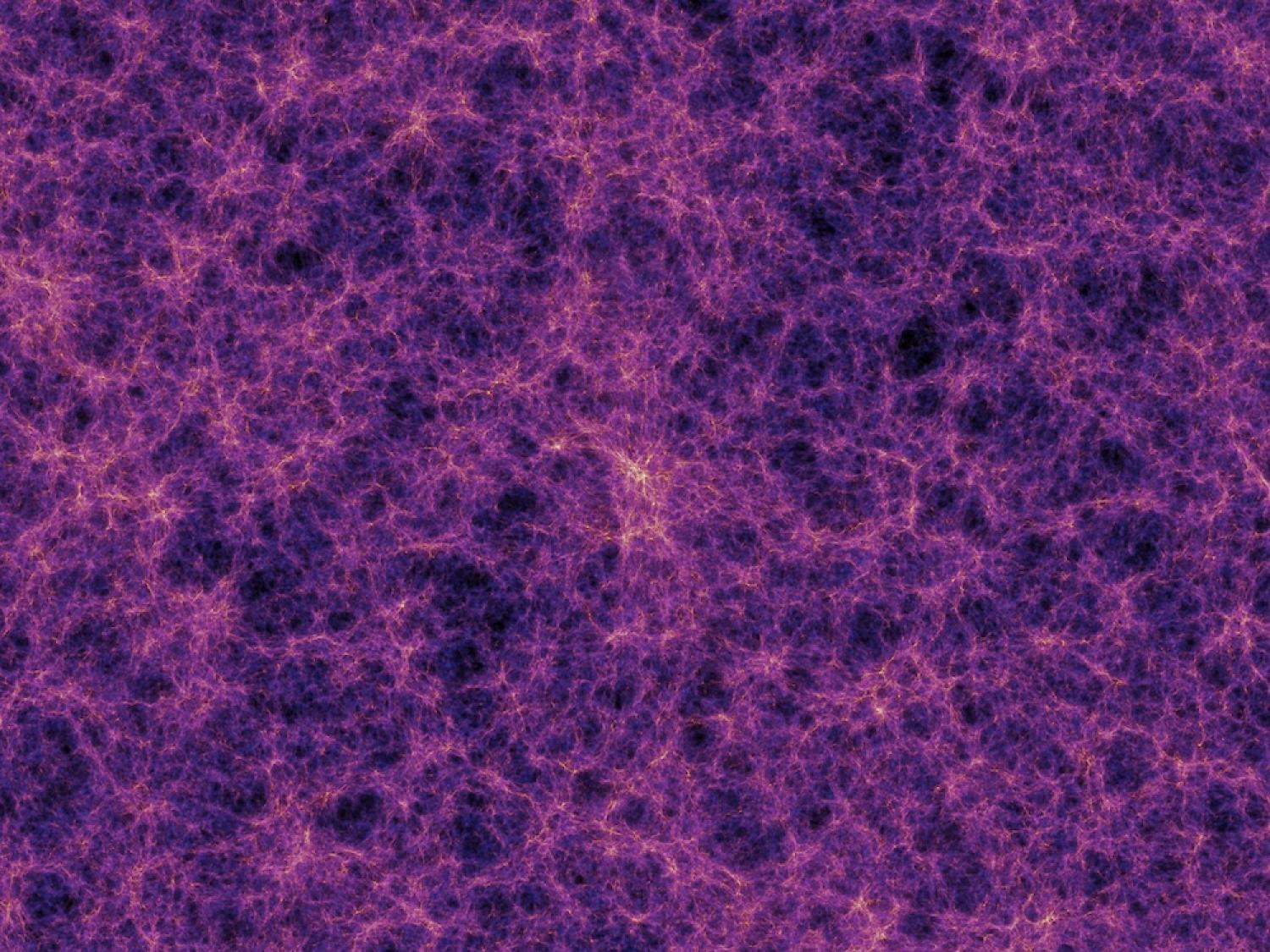 Image of purple strands forming a web-like pattern around dark voids