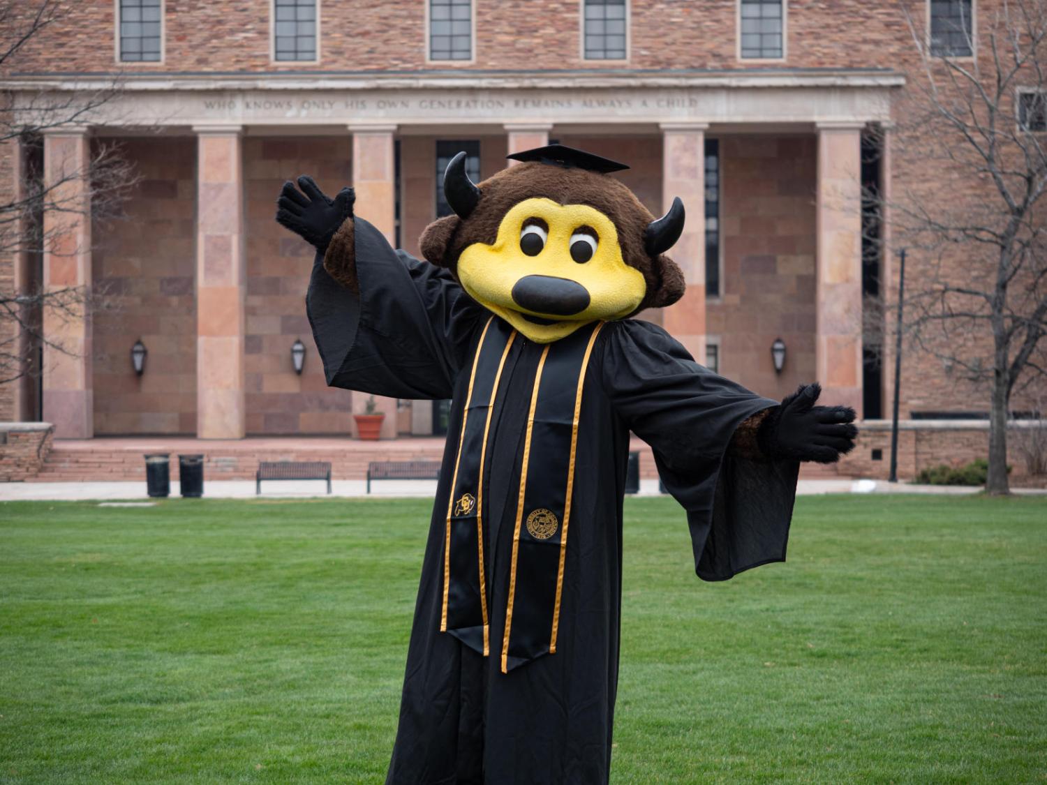 Chip the buffalo mascot in a graduation cap and gown