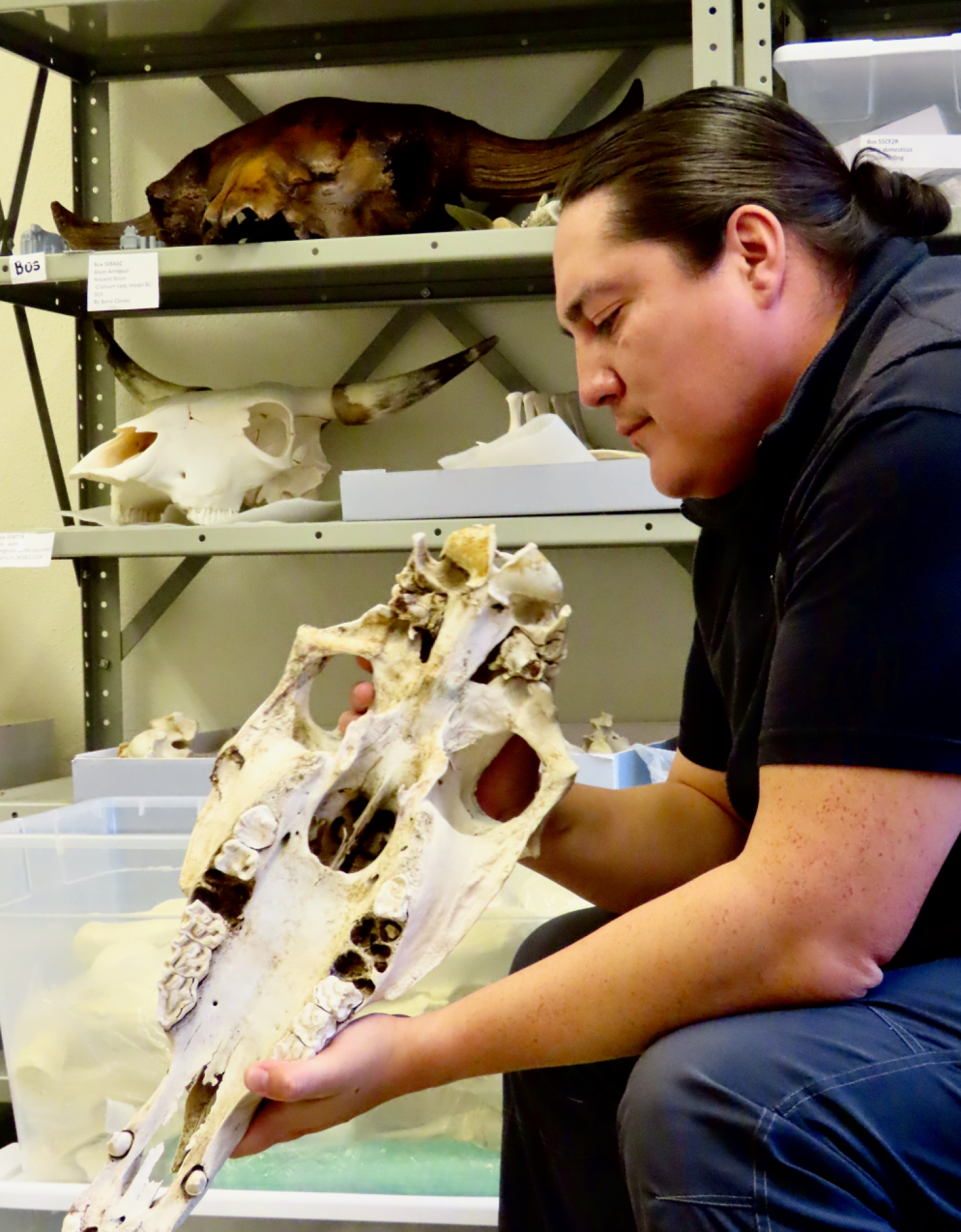 Man sits holding a horse skull in his hands
