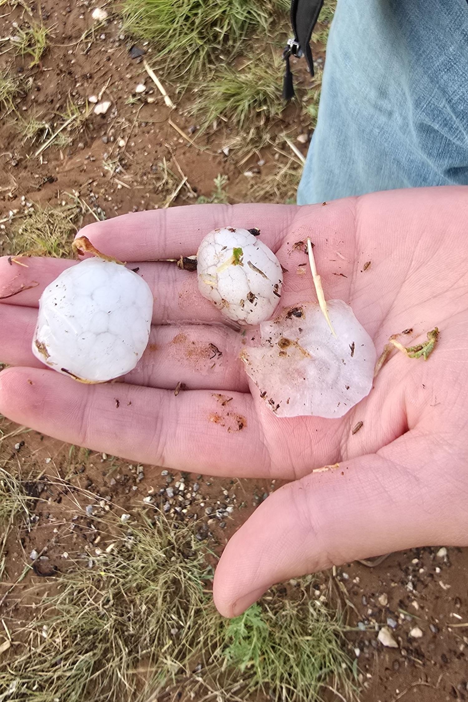 Hand holds three large pieces of hail