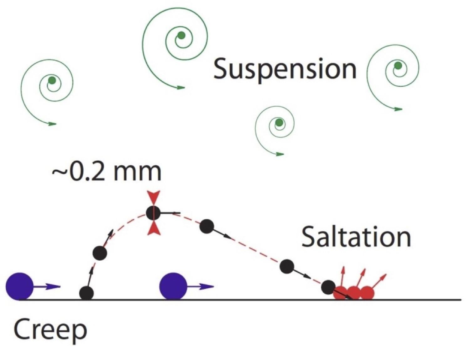 Graphic showing three different ways that grains of sand move in a dune: Suspension, creep and saltation