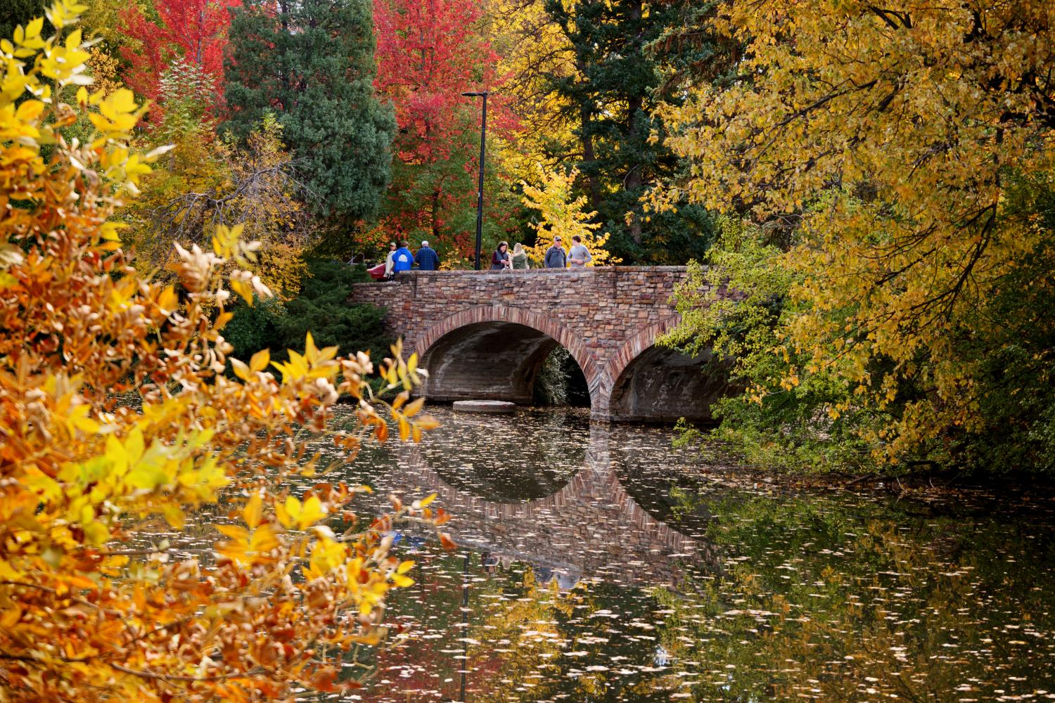 Fall foliage around Varsity lake on CU Boulder campus