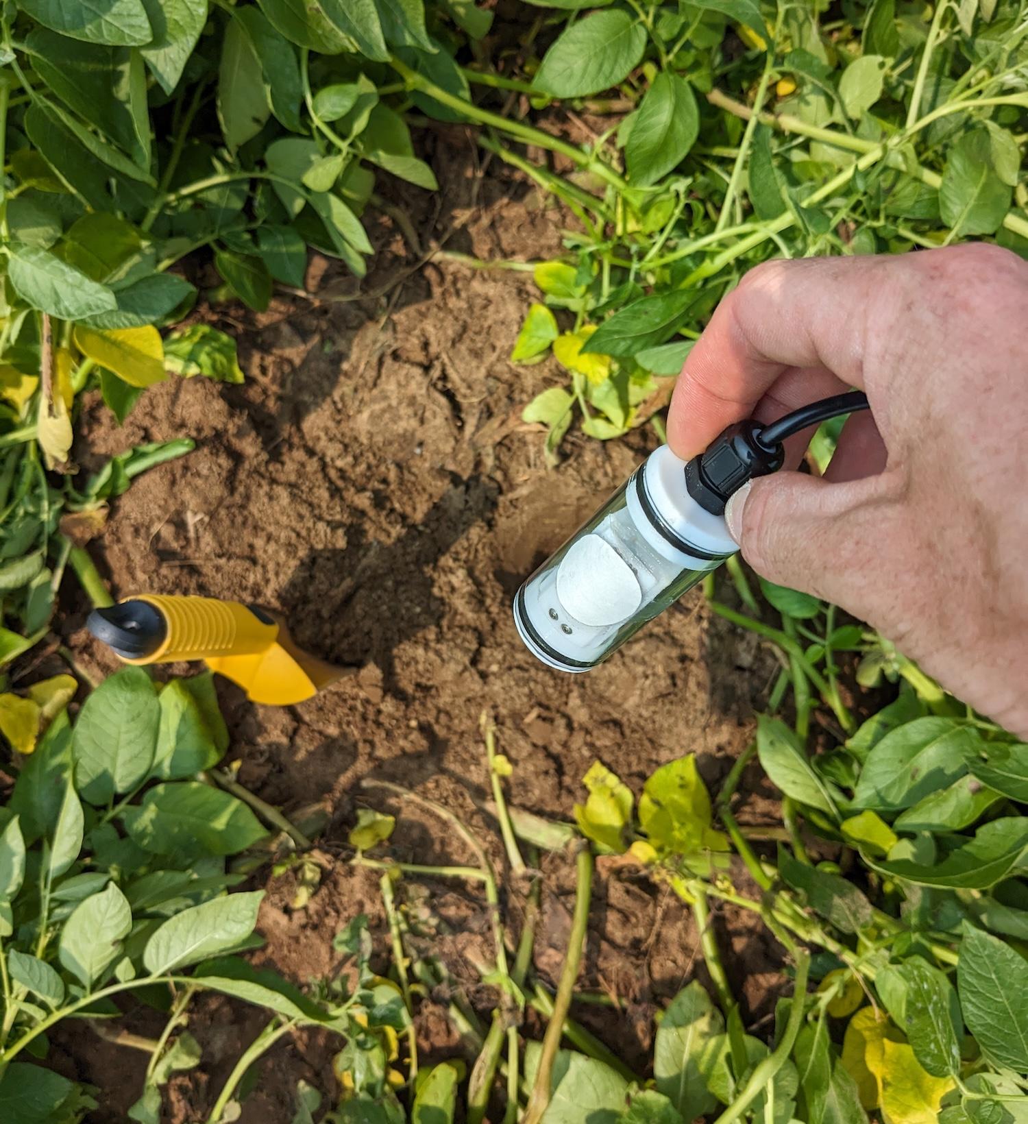 Hand lowers electronic device toward dirt
