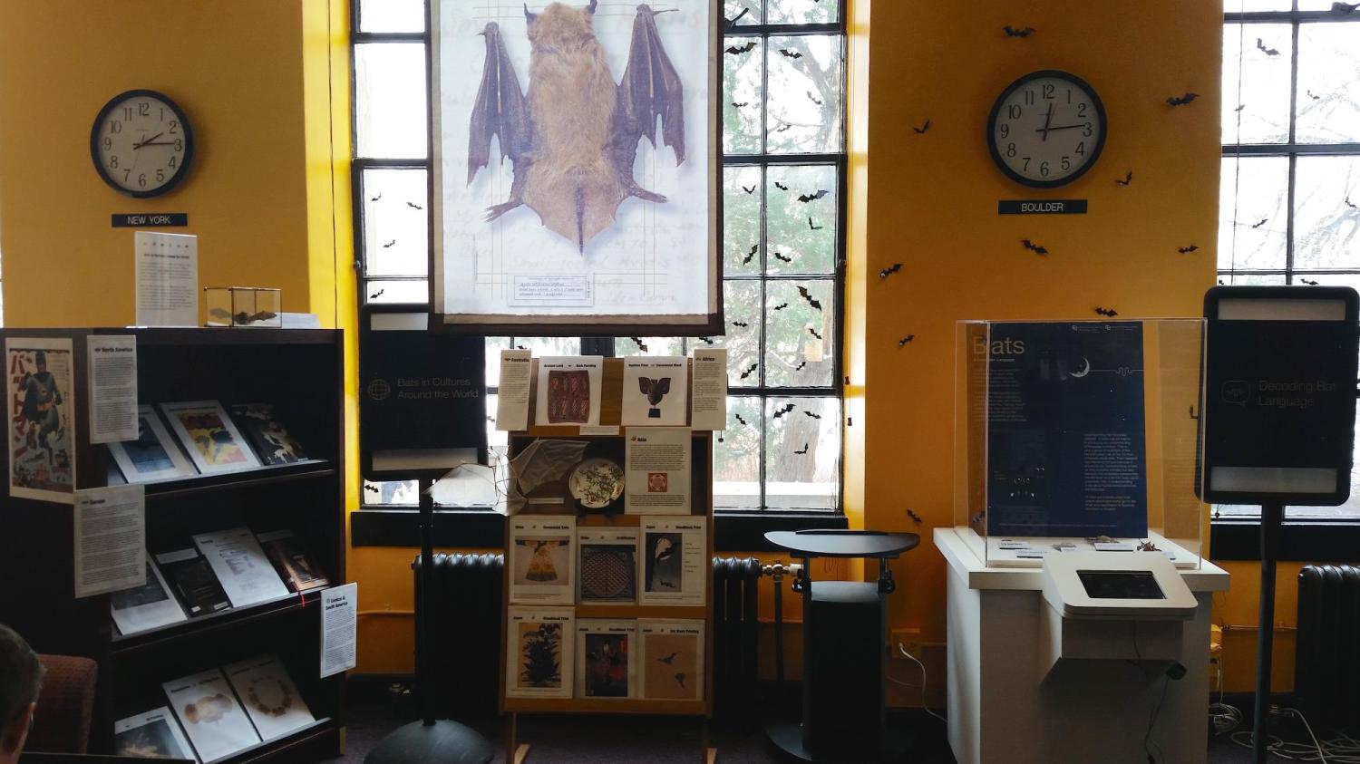 Bats: Language & Cultures exhibit
