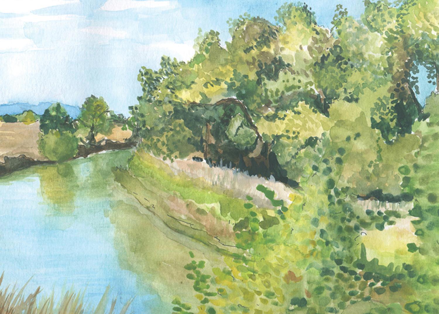 A watercolor painting of a creek.