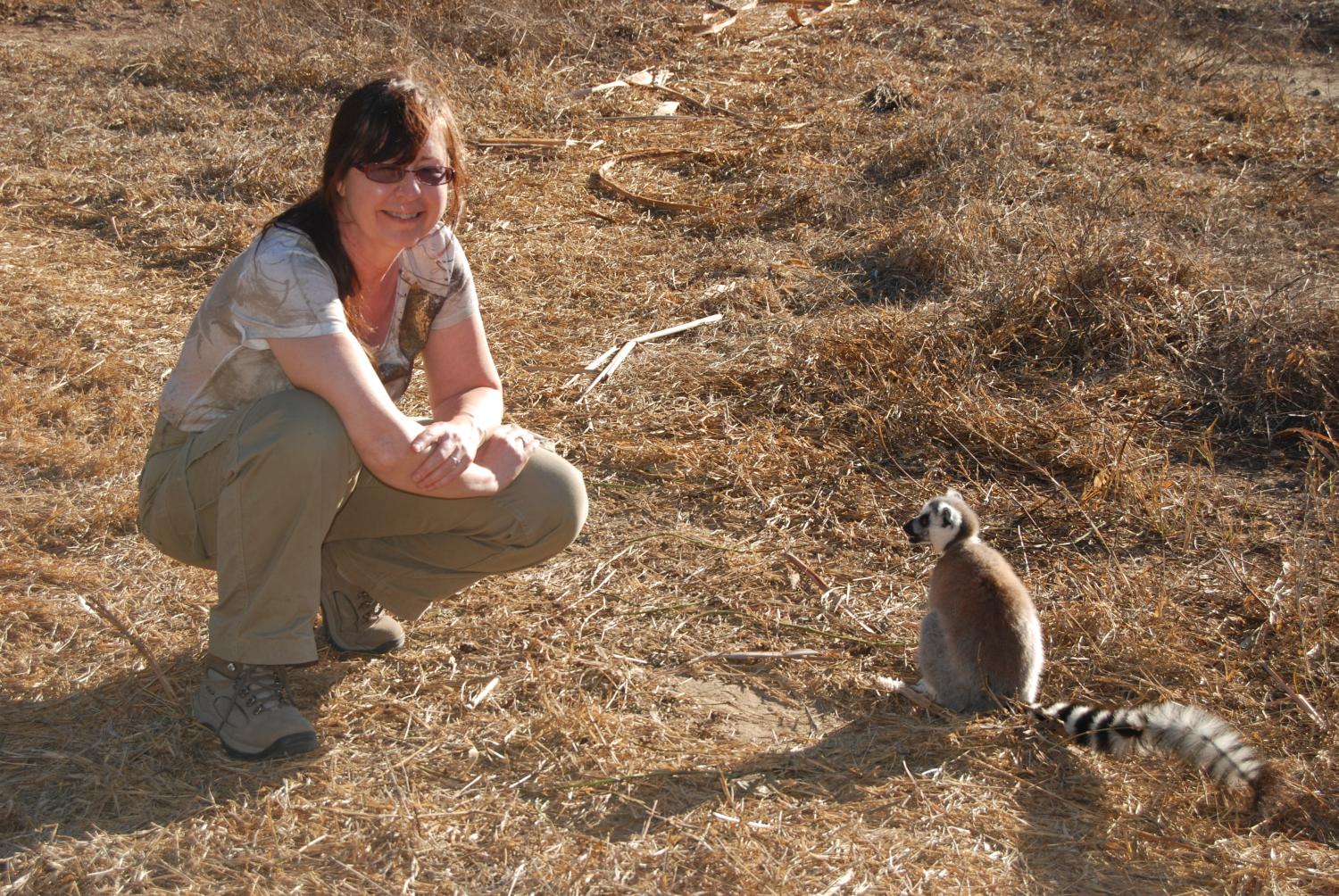 lemurs madagascar, decline