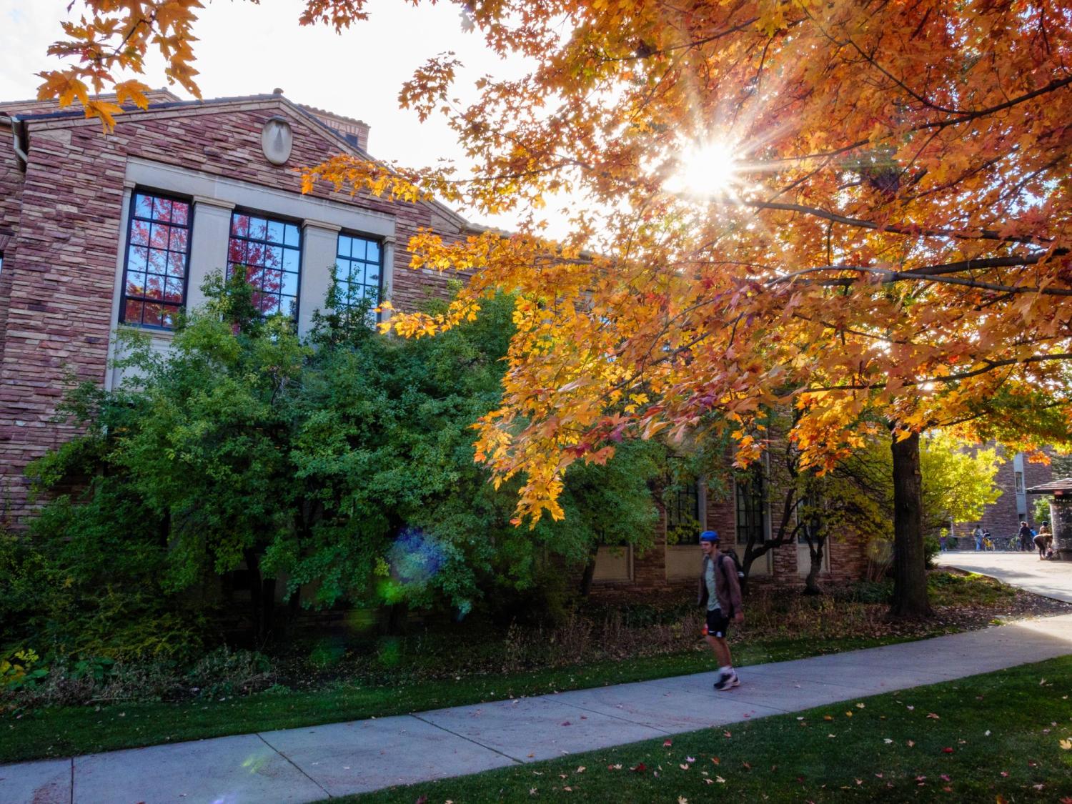 Campus building and fall leaves