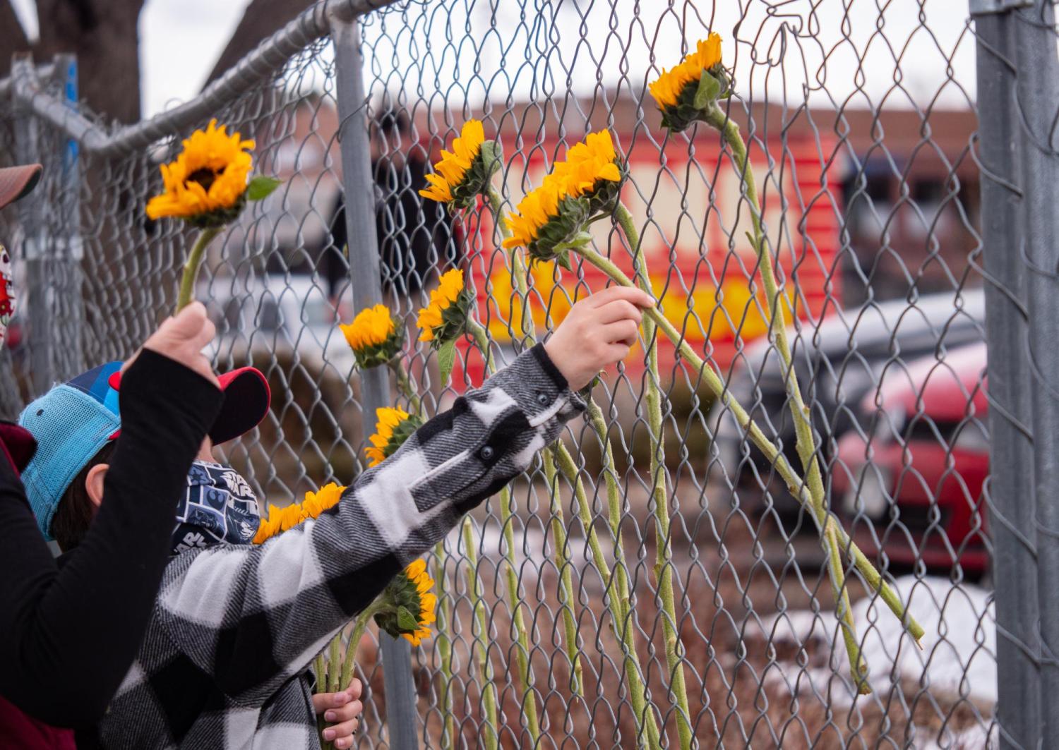 Community members place sunflowers in the chain link fence by King Soopers