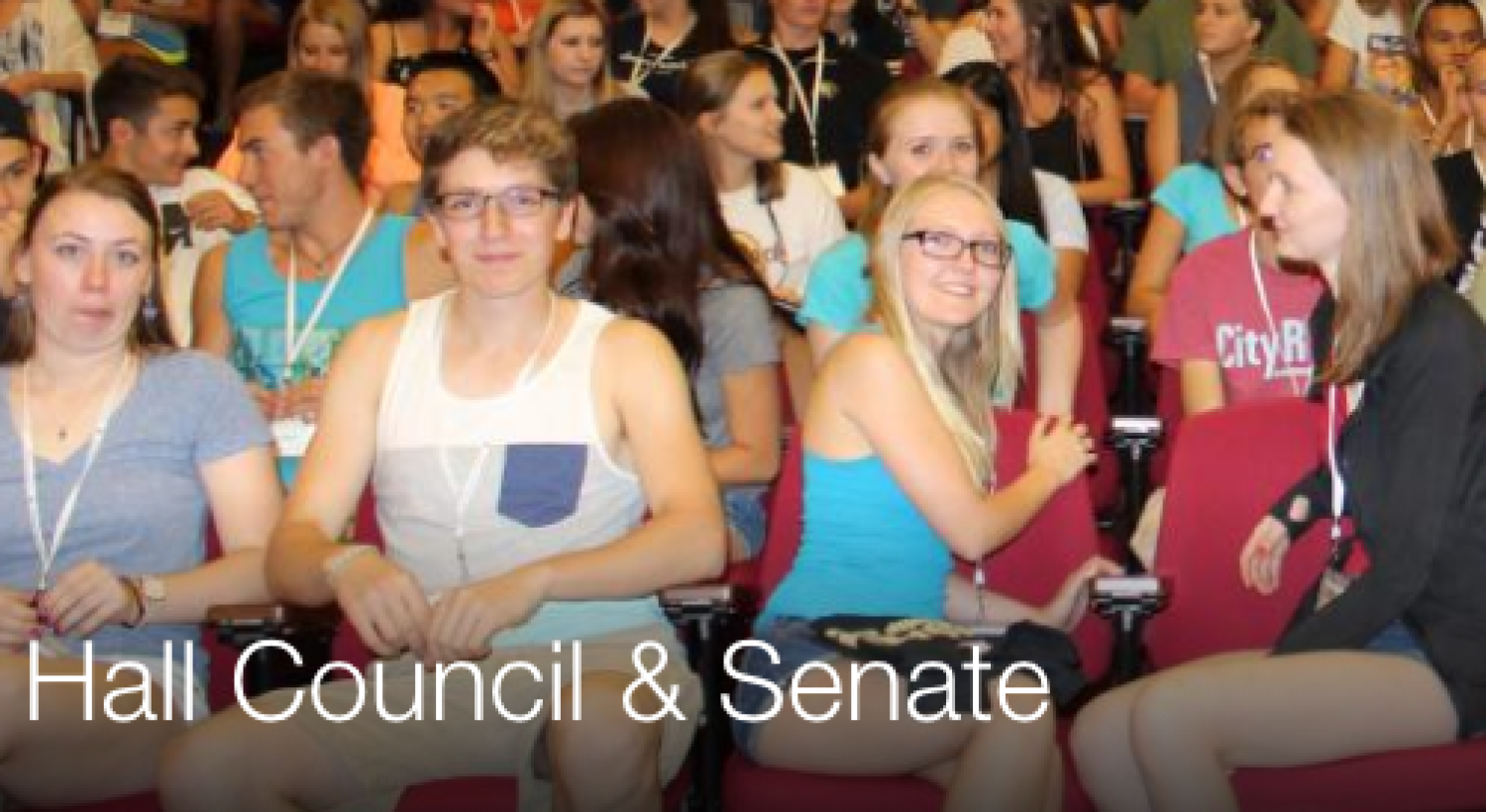 Hall Council and Senate