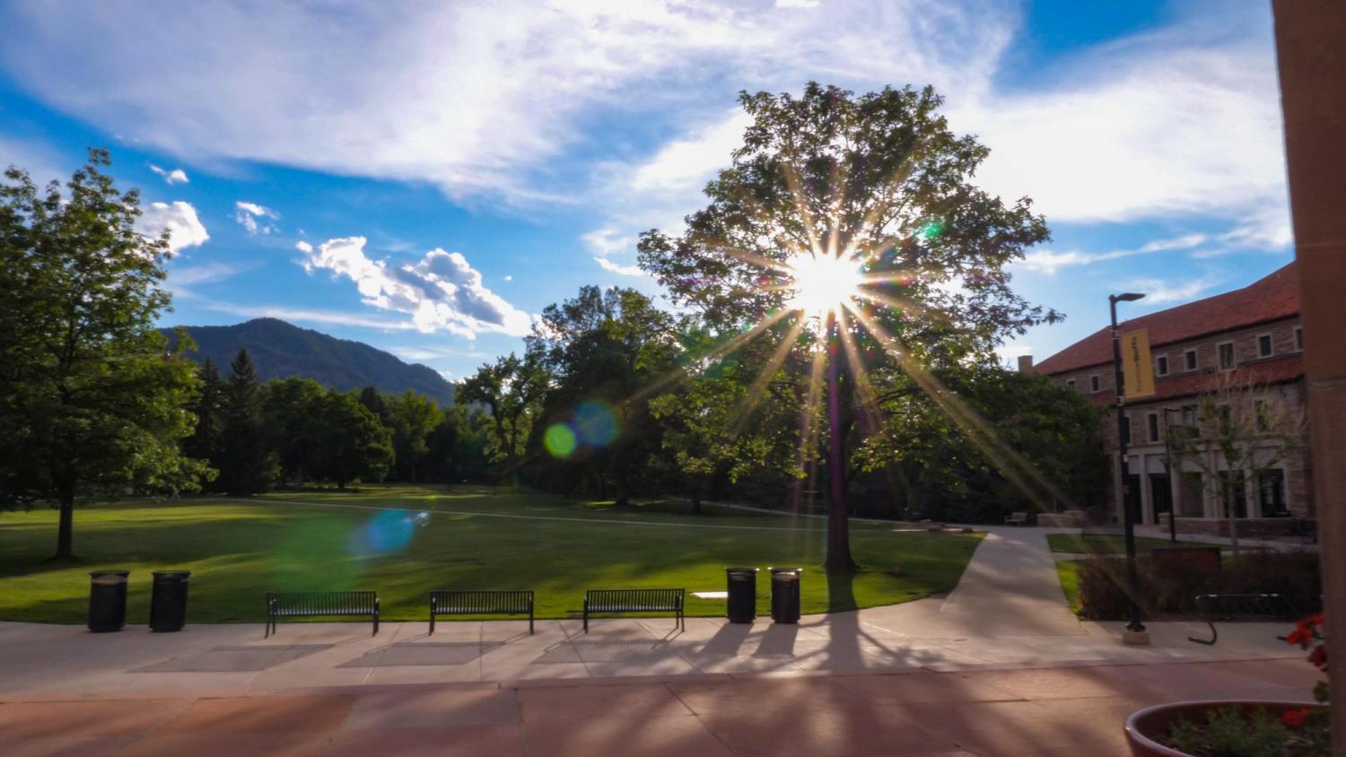 The sun shining through trees to the west of Boulder