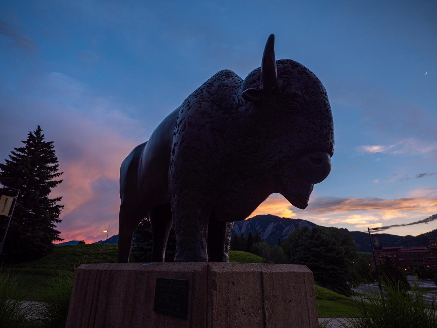 Buffalo sculpture on the CU Boulder campus.