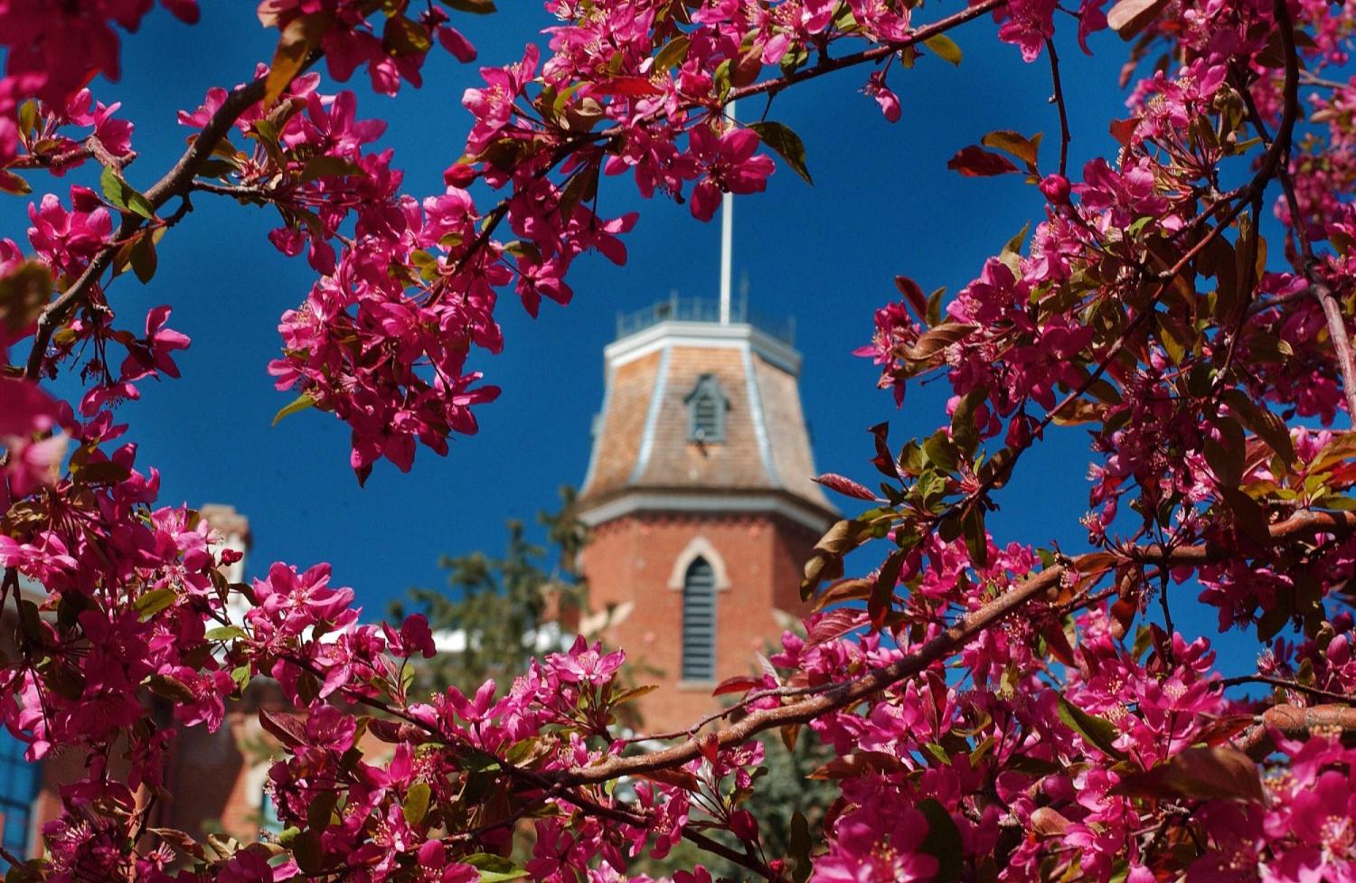 Old Main in Spring