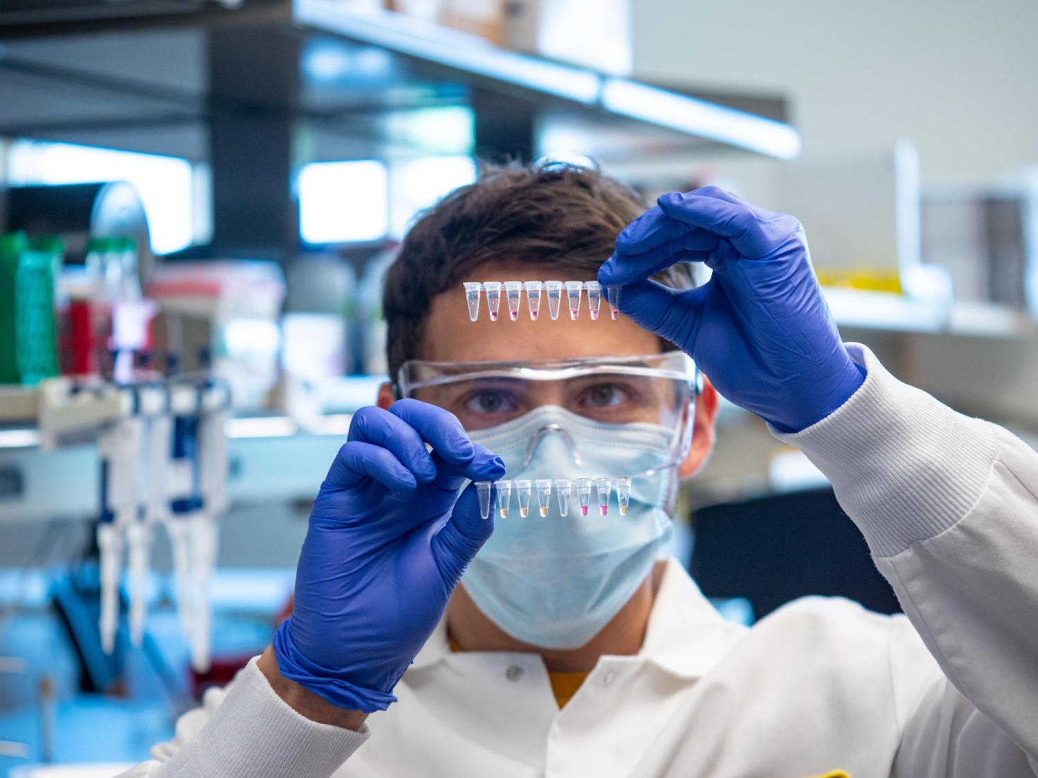 researcher analyzing test tubes
