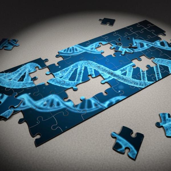 Puzzle pieces illustrating genetic material