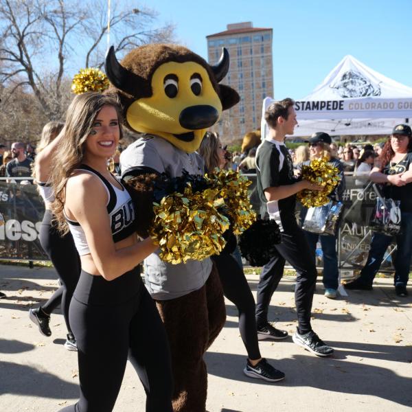 Chip joins the Colorado cheerleading squad during pre-game festivities for Homecoming weekend on the CU Boulder campus on Saturday, Nov. 9, 2019. (Photo by Glenn Asakawa/University of Colorado)