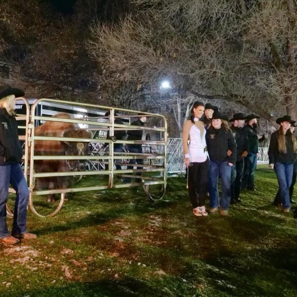 People take photos with the retiring Ralphie V ahead of Colorado's game against Washington on Saturday, Nov. 23, 2019. (Photo by Glenn Asakawa/University of Colorado)