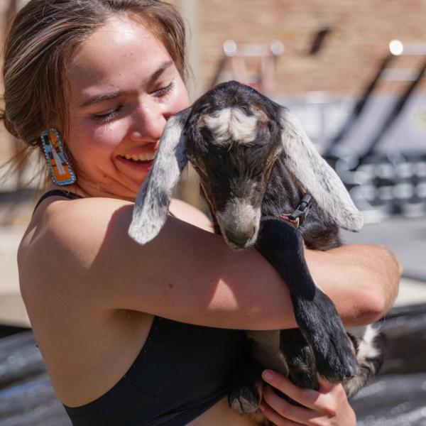 Esperanza Sole Garcia, a senior architecture major, cradles a goat after enjoying its company during a Goat Yoga class. (Photo by Glenn J. Asakawa/University of Colorado)