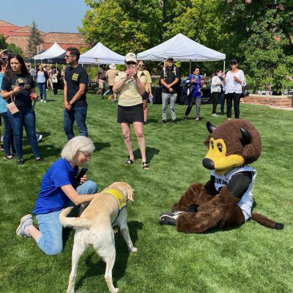 Chip the buffalo mascot interacts with a therapy dog during the Buffs Back Together event.