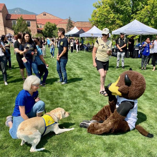 Chip the buffalo mascot interacts with a therapy dog during the Buffs Back Together event.