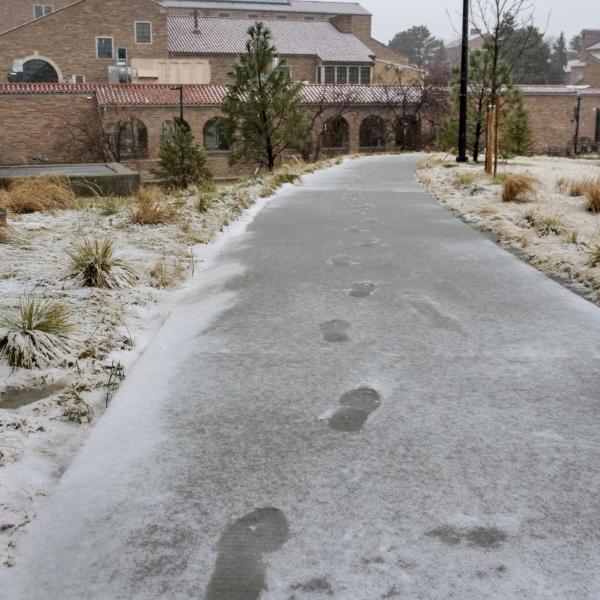 Footsteps on a snow-dusted sidewalk. Photo by Patrick Campbell.