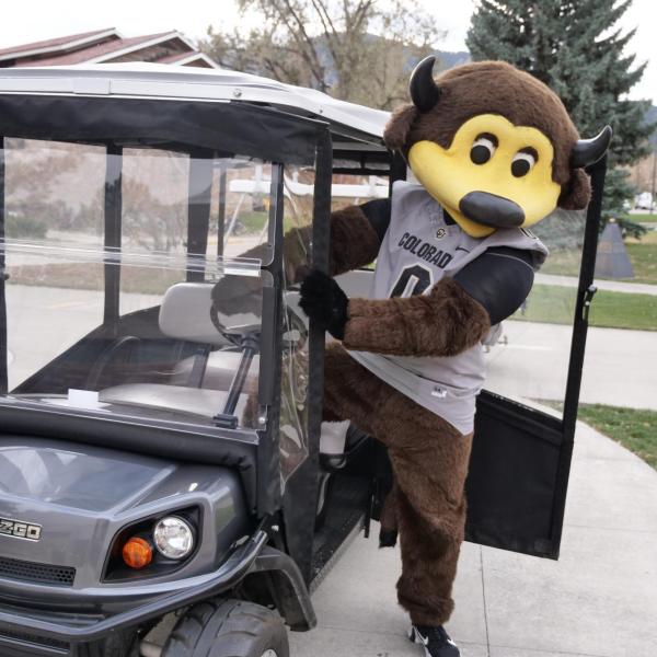 Chip tours the CU Boulder main campus to rally students before the CU’s season-opening football game against UCLA on Saturday, Nov. 7, 2020. (Photo by Casey A. Cass/University of Colorado)