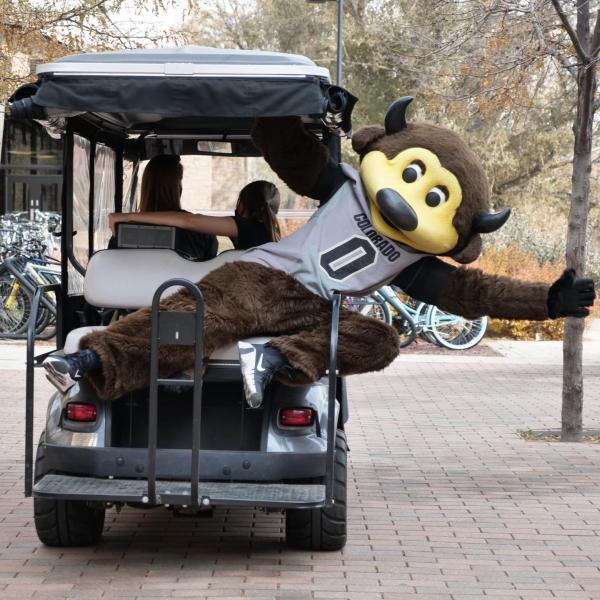 Chip tours the CU Boulder main campus to rally students before the CU’s season-opening football game against UCLA on Saturday, Nov. 7, 2020. (Photo by Casey A. Cass/University of Colorado)