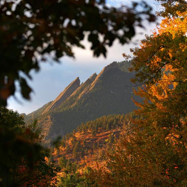 The majestic Flatirons above Boulder framed in fall colors