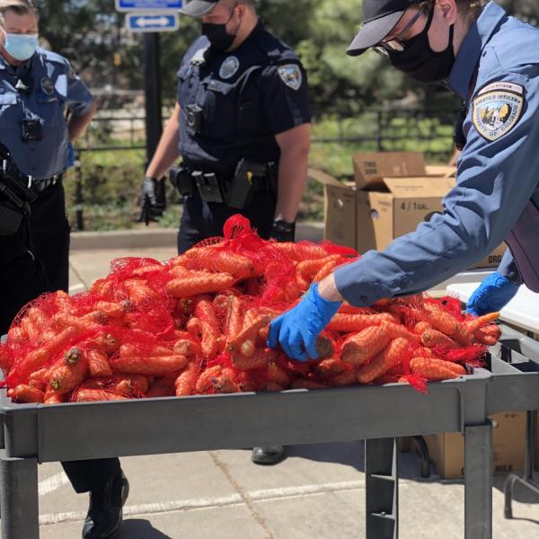 Workers unload and deliver food at a mobile food pantry on the CU Boulder campus. (Photos courtesy of CUPD and Volunteer Resource Center)