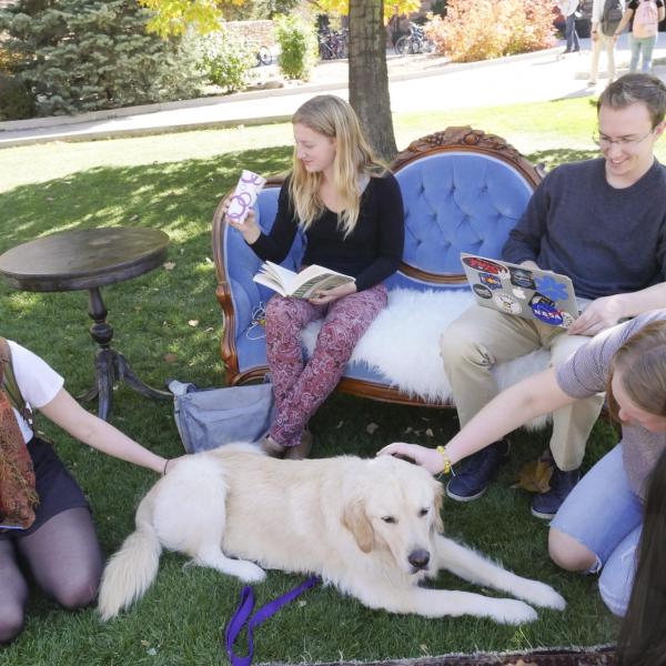 Students pet dog at the first-ever CU Boulder dog café