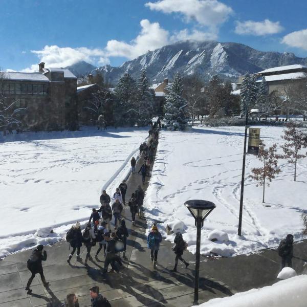 Snowy campus on Monday. Photo by Casey A. Cass.