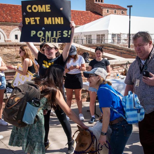People gather to greet miniature horses who visited campus on April 12. (Zach Ornitz/University of Colorado)