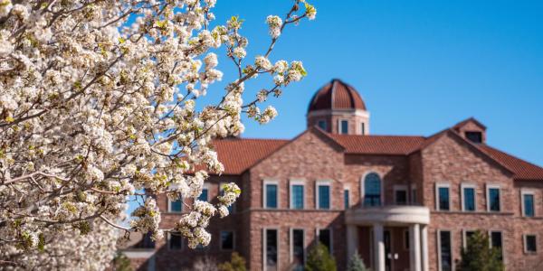 Early spring blooms on campus near the Koelbel business building