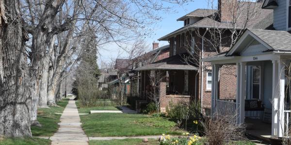 Houses in a residential neighborhood in Boulder