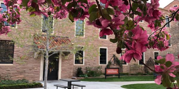 Scenic image of the School of Education courtyard