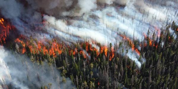 2013 Alder Fire in Yellowstone