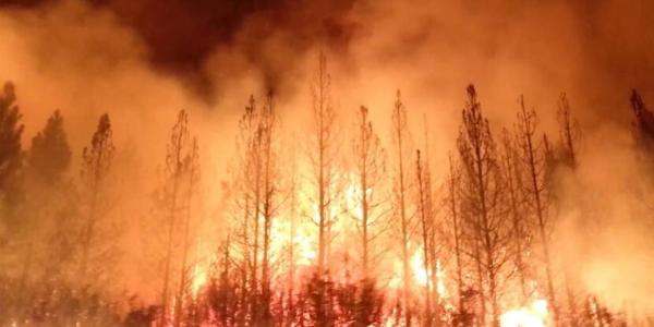 2013 Rim Fire in the Stanislaus National Forest near California