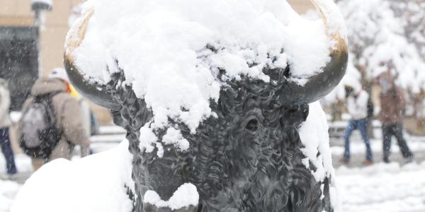 Snow adorns a statue of a Buffalo