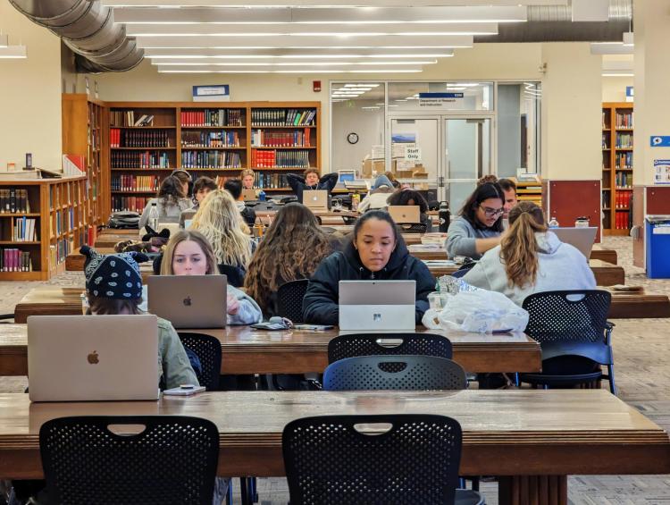 Students studying in a campus library