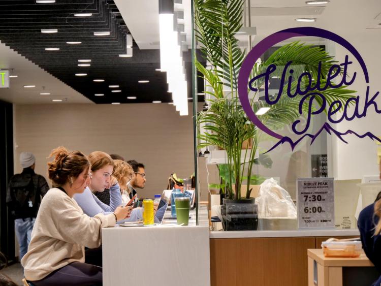 Students study in the Violet Peak cafe on campus