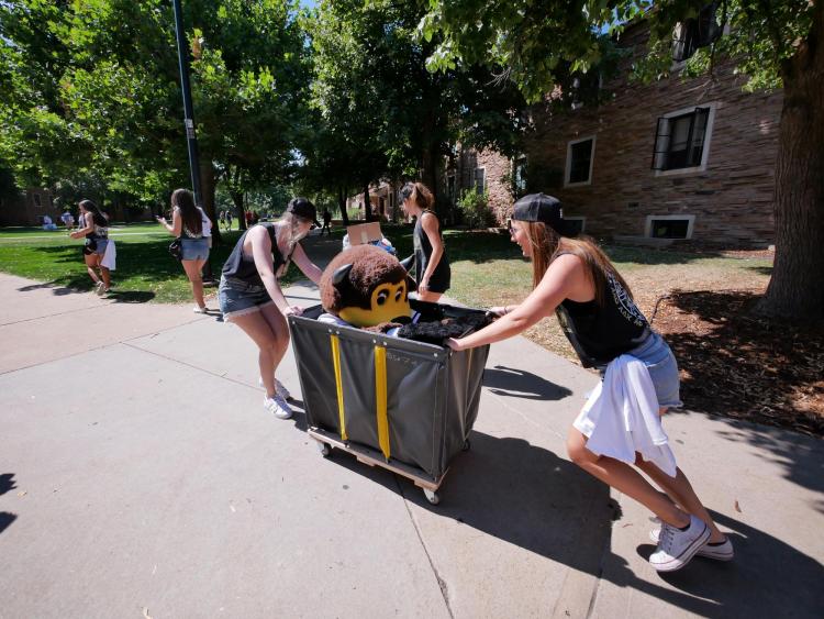 People pitch in during move-in.
