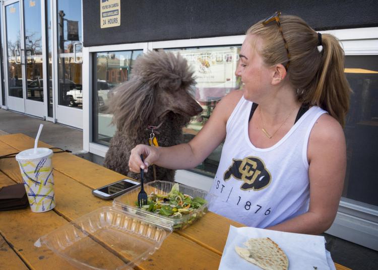 Clare Bradley enjoys a lunch outside the Food Court on The Hill with her standard poodle Delilah