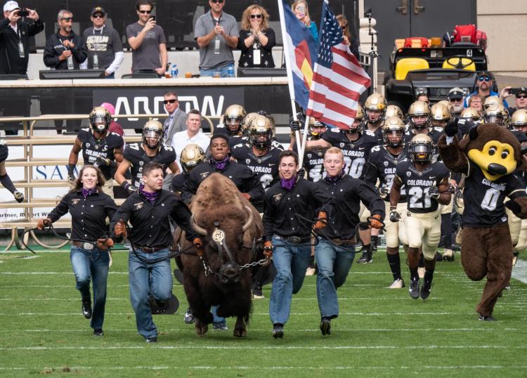 Ralphie takes the field.