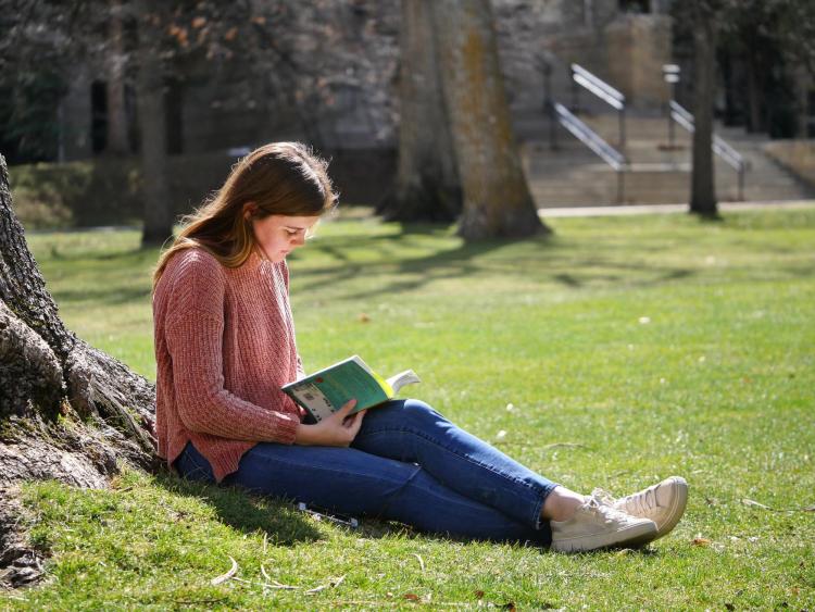 Student studying on lawn, leaned against a tree