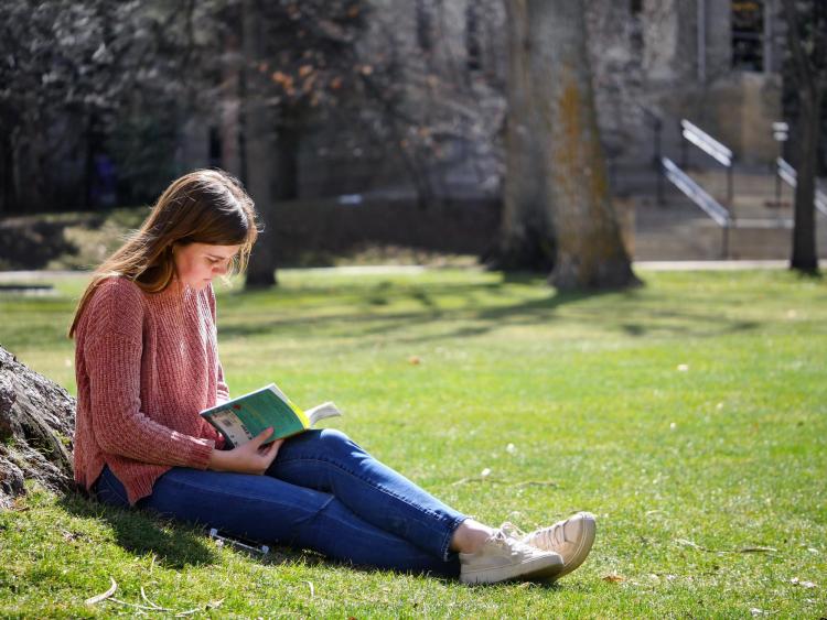 Student sitting against tree reading