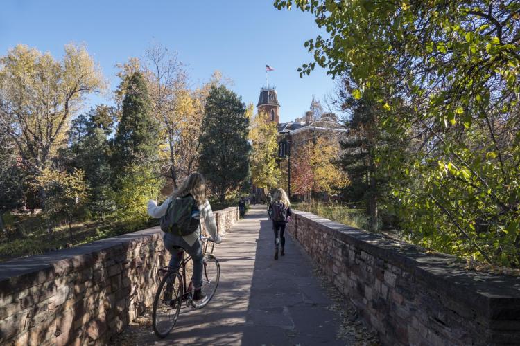 students on campus footbridge