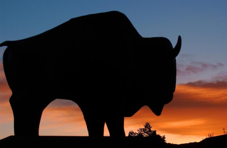 Silhouette of CU buffalo sculpture with sunset in background