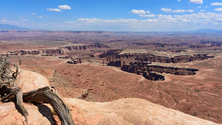 A view from Grand View Point Overlook toward Monument Basin, Island in the Sky district in Canyonlands National Park, Utah