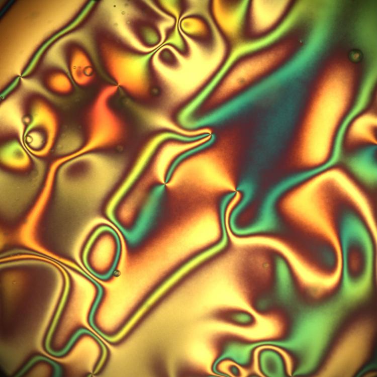 A conventional liquid crystal creates a rainbow of colors under the microscope.